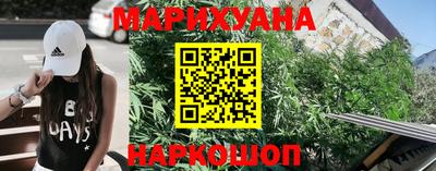 СК Новодвинск