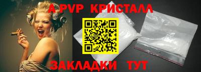 СК Новодвинск