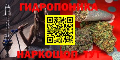 MDMA Новозыбков