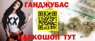 СК Новодвинск