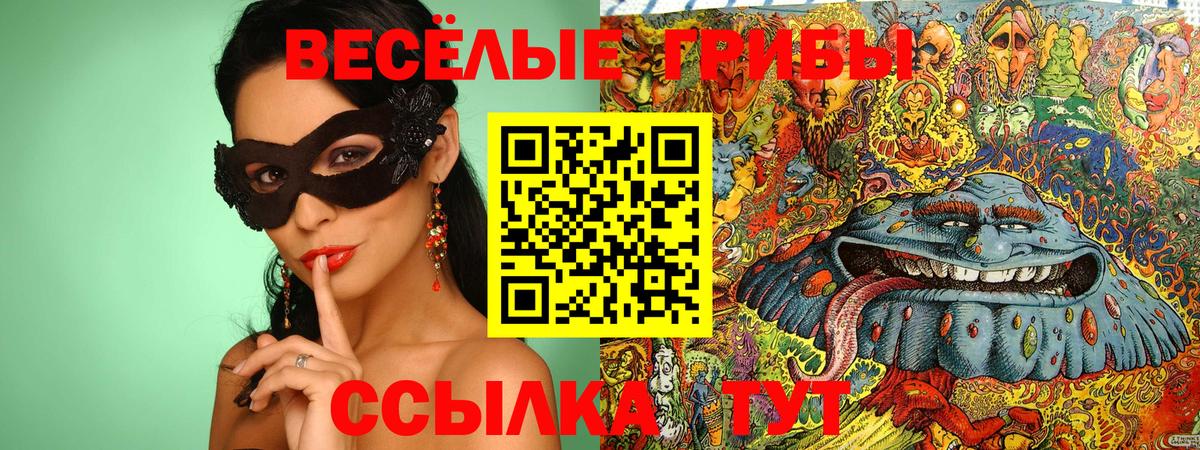 Галлюциногенные грибы MAGIC MUSHROOMS  Вход с VPN  Серпухов  Галлюциногенные грибы Cubensis 
